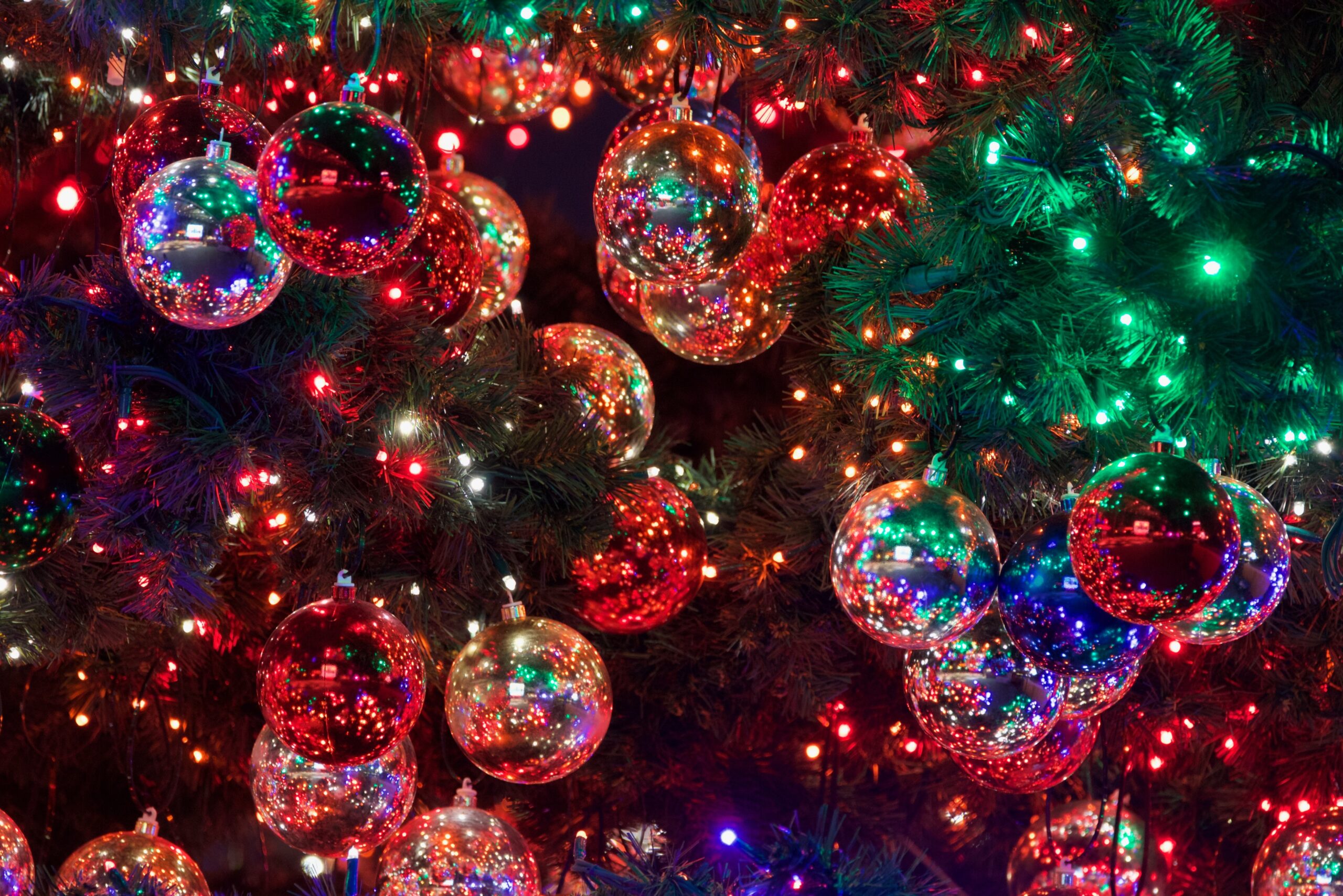 Experience the Magic: Holiday Light Displays and Festivals Near Encinitas